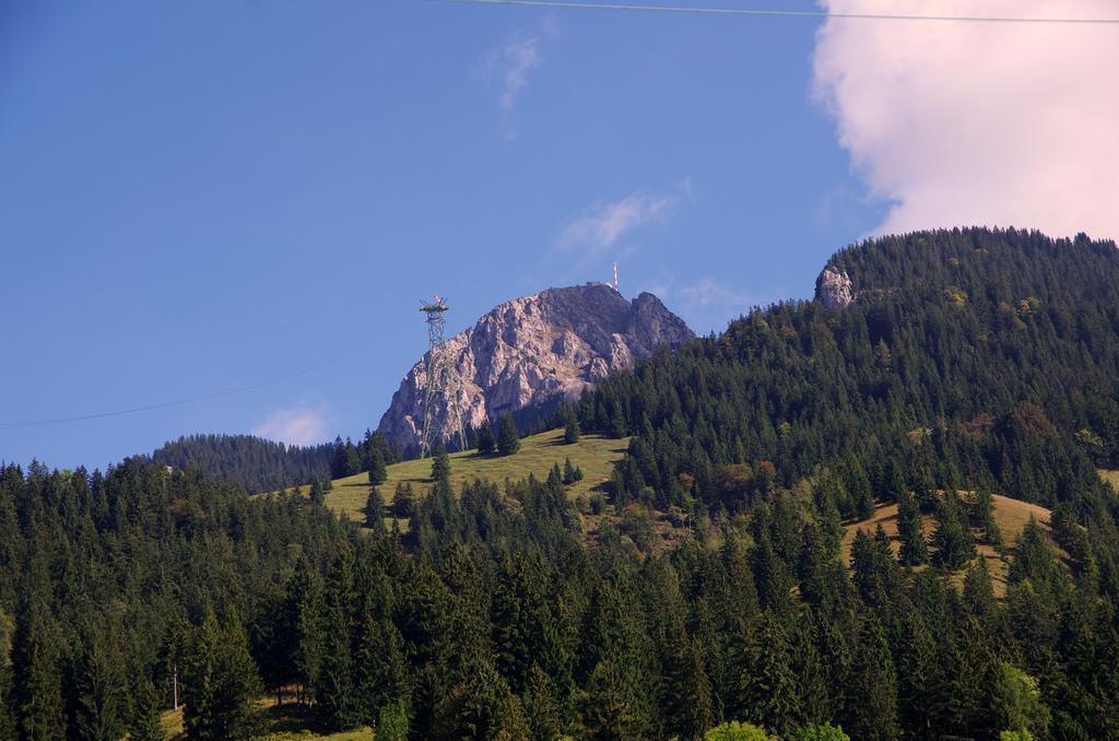 DEVA Hotel Alpenhof